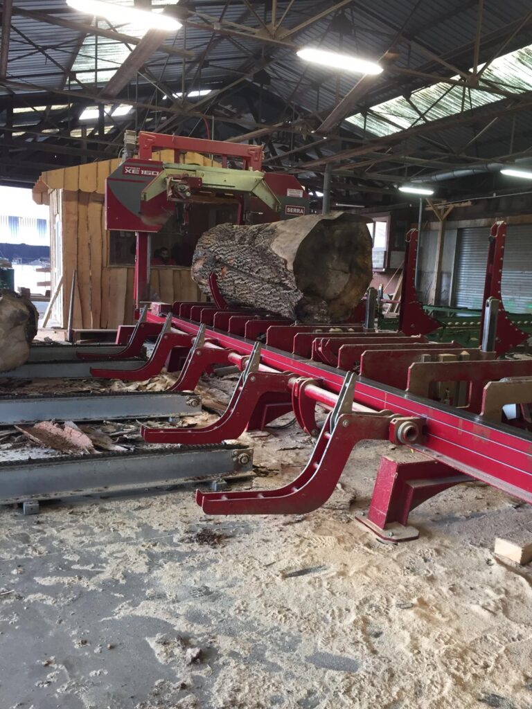 Scierie SERRA AFRICA XE135/160 en action 2